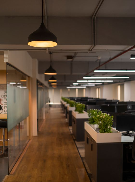 The Address- Your Destination of Growth: Velocity Hub